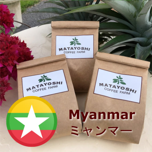 Matayoshi Coffee 又吉咖啡園 緬甸 單一產地 自家烘焙咖啡豆 100g x 4包