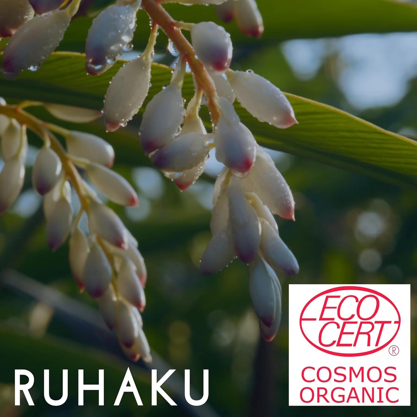 RUHAKU 琉白 日本製 沖繩月桃 彈潤保濕面霜 Moist Cream 30g x 2件優惠裝