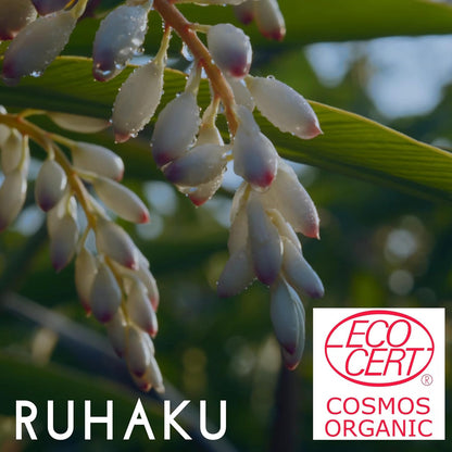 RUHAKU 琉白 日本製 沖繩月桃 彈潤保濕面霜 Moist Cream 30g x 2件優惠裝