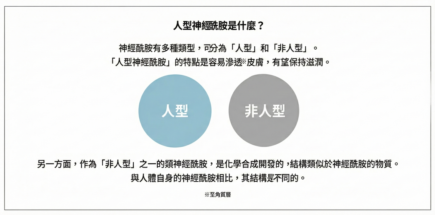 ETVOS Moisturizing Cream 潤澤保濕霜