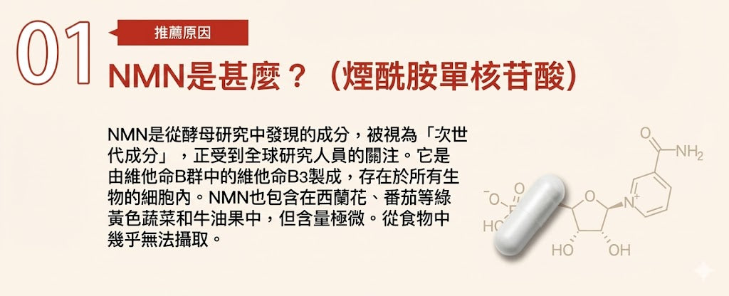 日清製藥LivLon Power Supply NMN+ 250mg 金裝 日本產 每日營養補充包 CoQ10 維他命 胡蘿蔔素