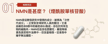 日清製藥LivLon Power Supply NMN+ 250mg 金裝 日本產 每日營養補充包 CoQ10 維他命 胡蘿蔔素