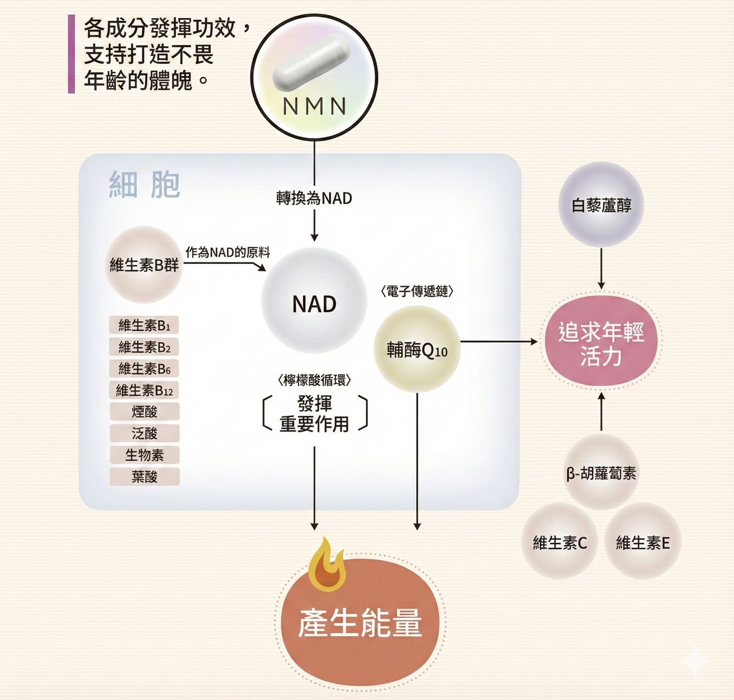 日清製藥LivLon Power Supply NMN+ 250mg 金裝 日本產 每日營養補充包 CoQ10 維他命 胡蘿蔔素