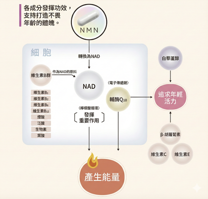 日清製藥LivLon Power Supply NMN+ 250mg 金裝 日本產 每日營養補充包 CoQ10 維他命 胡蘿蔔素
