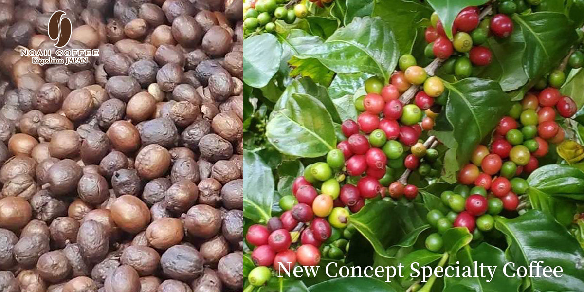 Noah Coffee 奏之極 日本產 + 精選進口自家烘焙豆 拼配咖啡豆 100g x 3盒