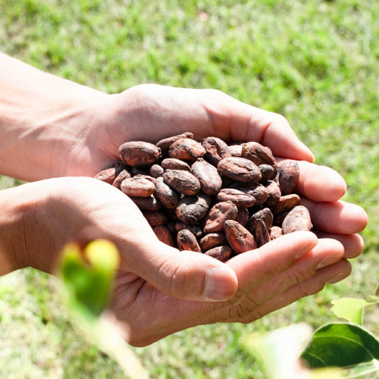 Noah Coffee 奏之極 日本產 + 精選進口自家烘焙豆 拼配咖啡豆 100g x 3盒