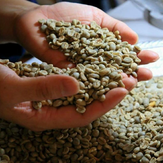 Noah Coffee 奏之極 日本產 + 精選進口自家烘焙豆 拼配咖啡豆 100g x 3盒