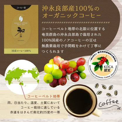Noah Coffee 和之極 鹿兒島縣 沖永良部島 日本產 無農藥 咖啡豆100g x 3盒
