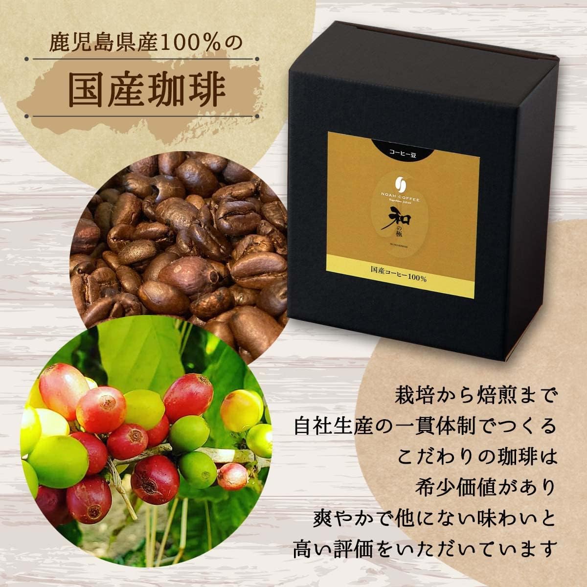 Noah Coffee 和之極 鹿兒島縣 沖永良部島 日本產 無農藥 咖啡豆100g x 3盒