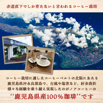 Noah Coffee 和之極 鹿兒島縣 沖永良部島 日本產 無農藥 咖啡豆100g x 3盒