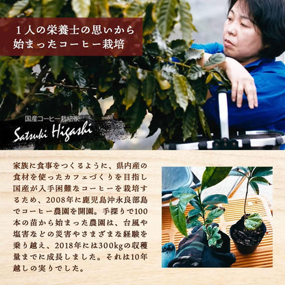 Noah Coffee 和之極 鹿兒島縣 沖永良部島 日本產 無農藥 咖啡豆100g x 3盒