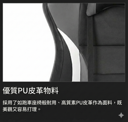 AKRacing Pro-X V2 頂級電競椅 Gaming Chair 人體工學設計辦公椅