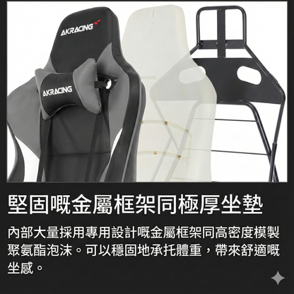 AKRacing Pro-X V2 頂級電競椅 Gaming Chair 人體工學設計辦公椅