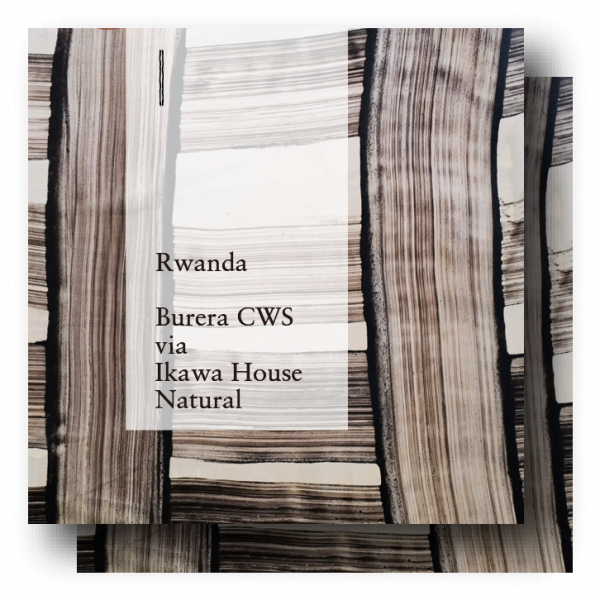 COFFEE COUNTY Rwanda Burera CWS Natural Whole Coffee Beans, Roasted in Japan 400g