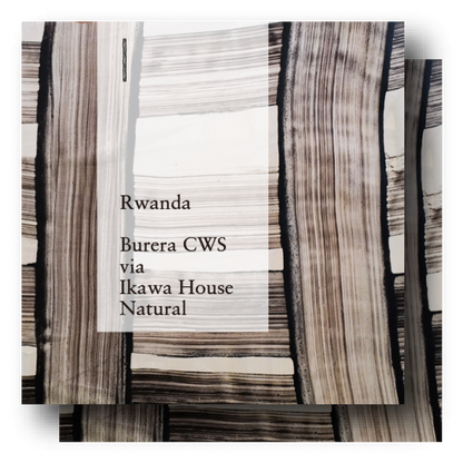 COFFEE COUNTY Rwanda Burera CWS Natural Whole Coffee Beans, Roasted in Japan 400g