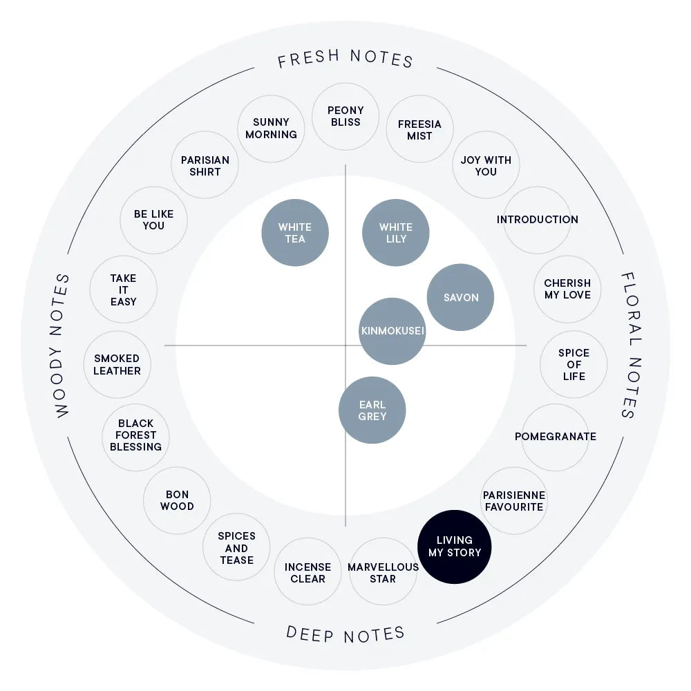 SHIRO Hand Serum 保濕精華香氛護手霜 精華乳 護手液