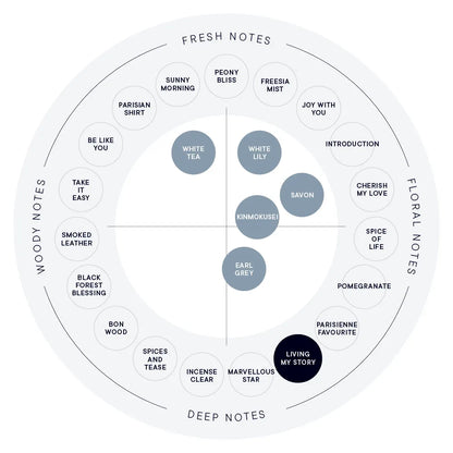 SHIRO Hand Serum 保濕精華香氛護手霜 精華乳 護手液