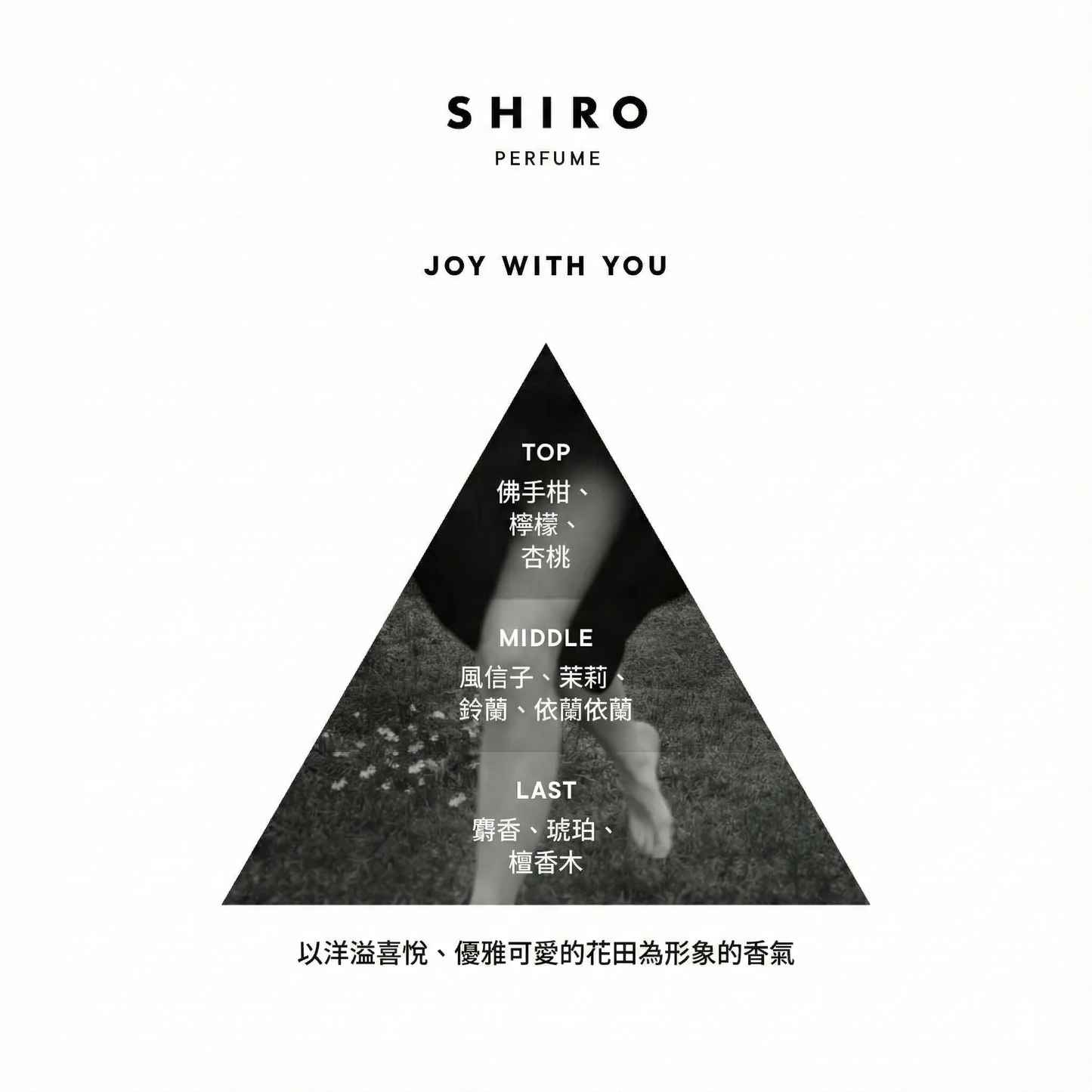 SHIRO Hand Serum 保濕精華香氛護手霜 精華乳 護手液