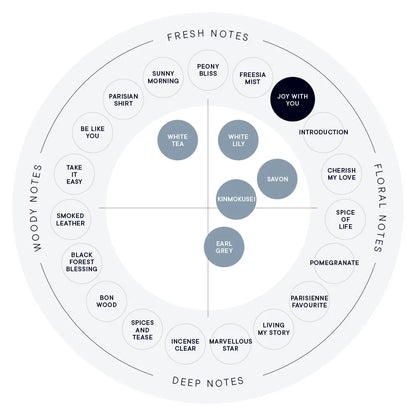 SHIRO Hand Serum 保濕精華香氛護手霜 精華乳 護手液