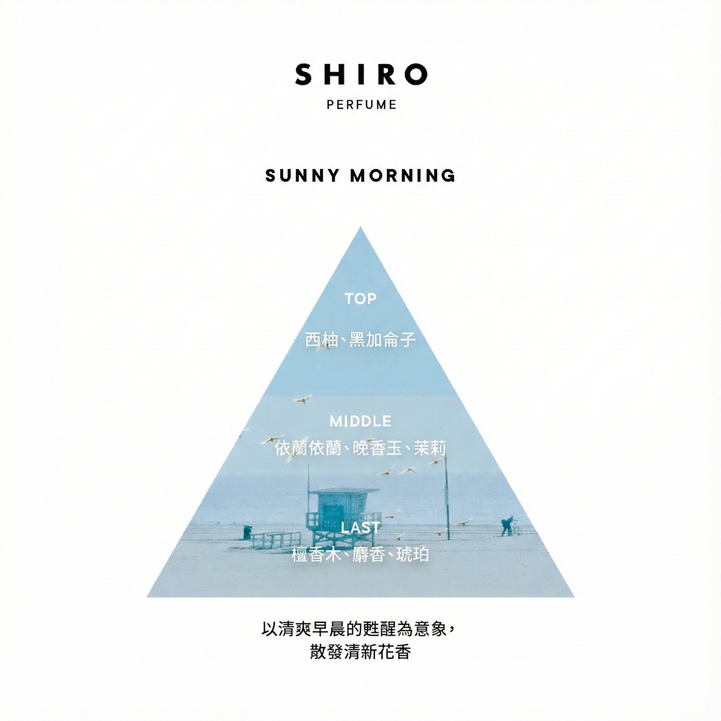 SHIRO Hand Serum 保濕精華香氛護手霜 精華乳 護手液