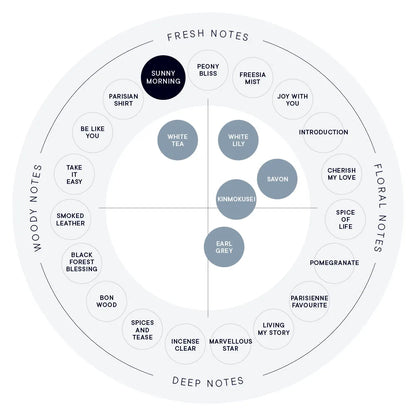 SHIRO Hand Serum 保濕精華香氛護手霜 精華乳 護手液