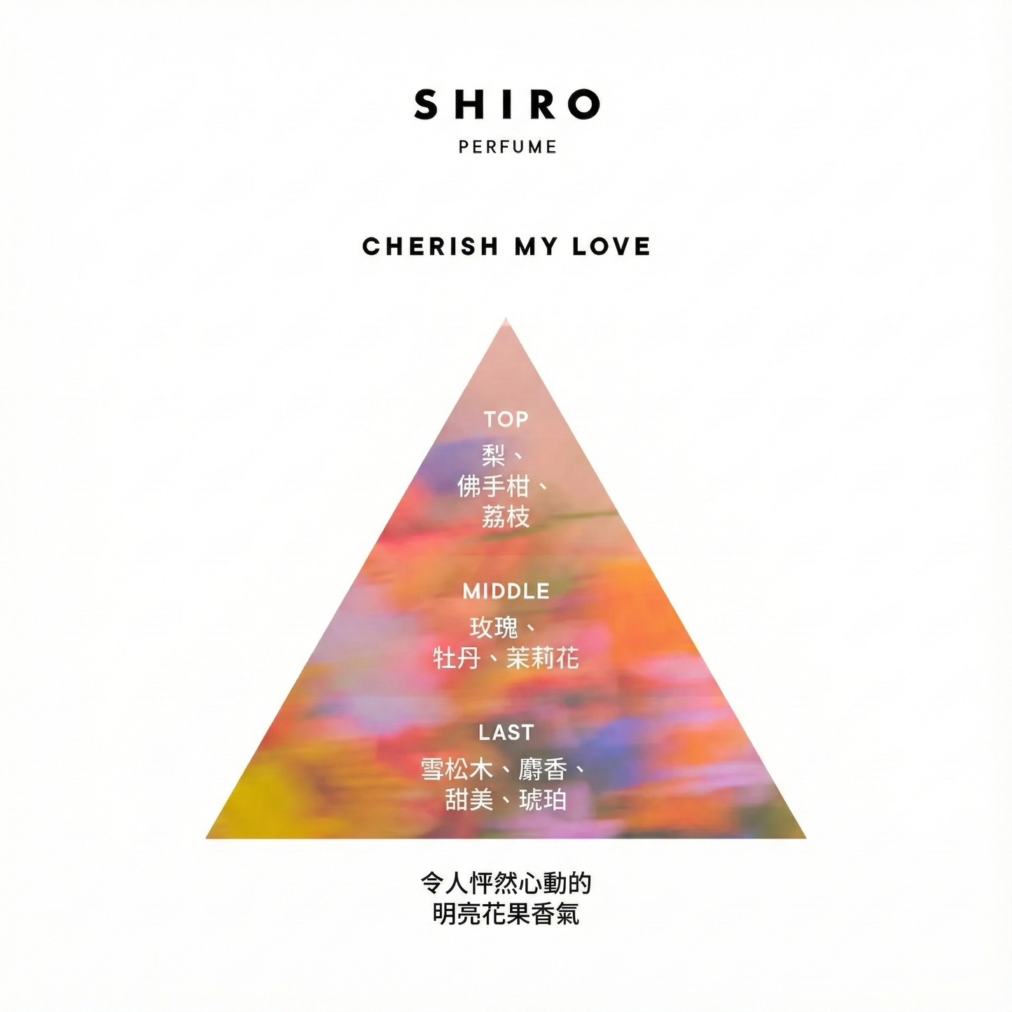 SHIRO Hand Serum 保濕精華香氛護手霜 精華乳 護手液