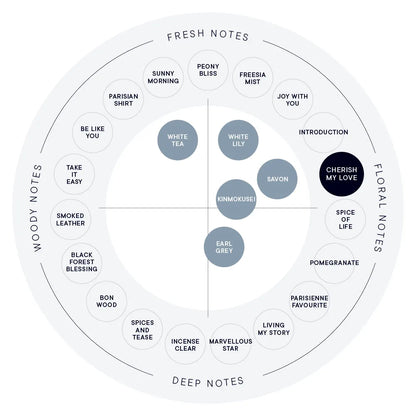 SHIRO Hand Serum 保濕精華香氛護手霜 精華乳 護手液