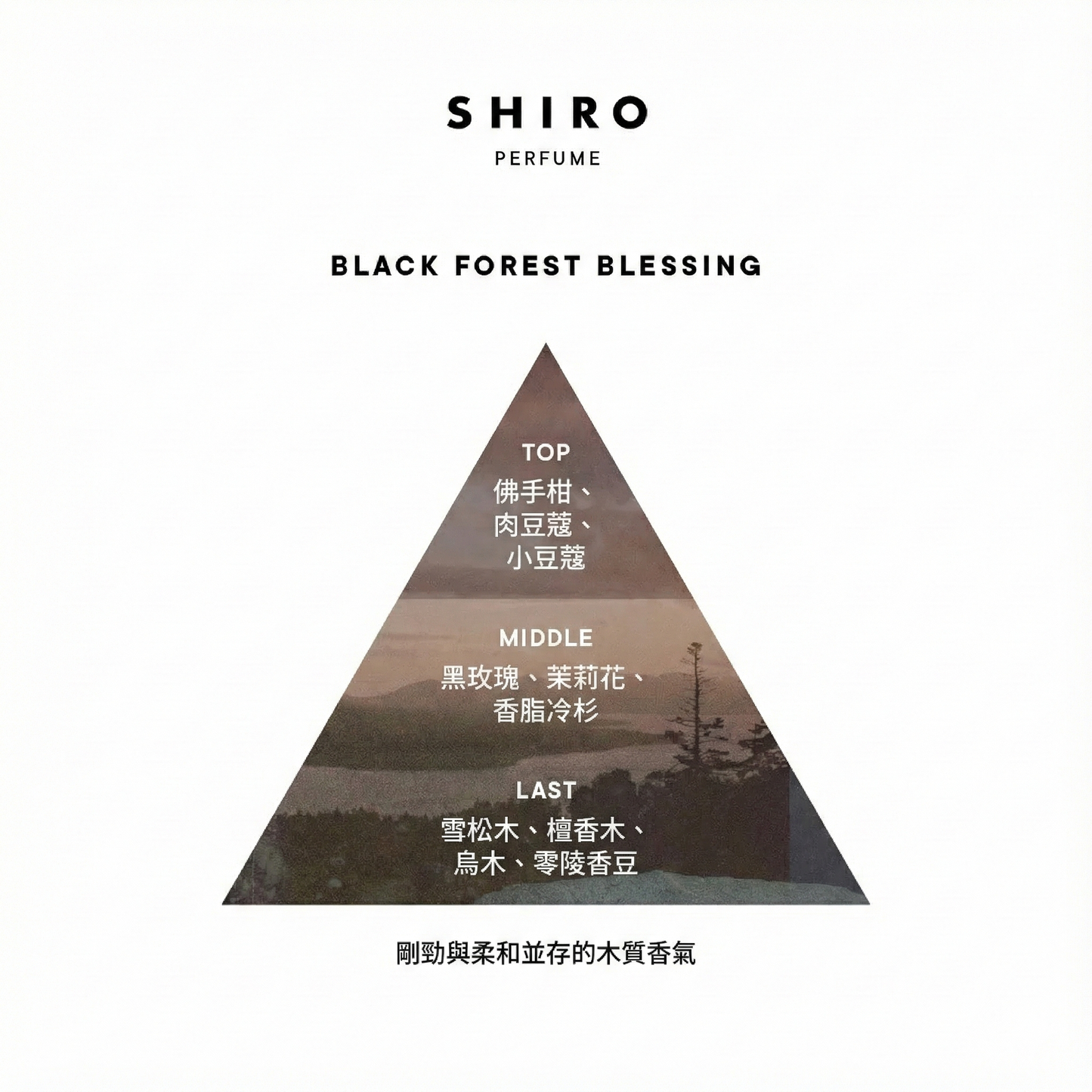 SHIRO Hand Serum 保濕精華香氛護手霜 精華乳 護手液