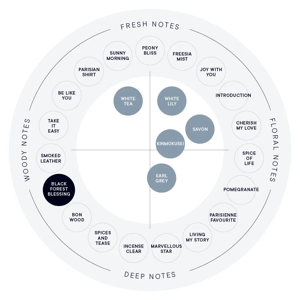 SHIRO Hand Serum 保濕精華香氛護手霜 精華乳 護手液