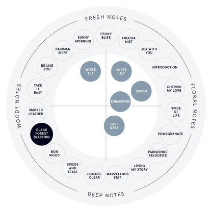 SHIRO Hand Serum 保濕精華香氛護手霜 精華乳 護手液