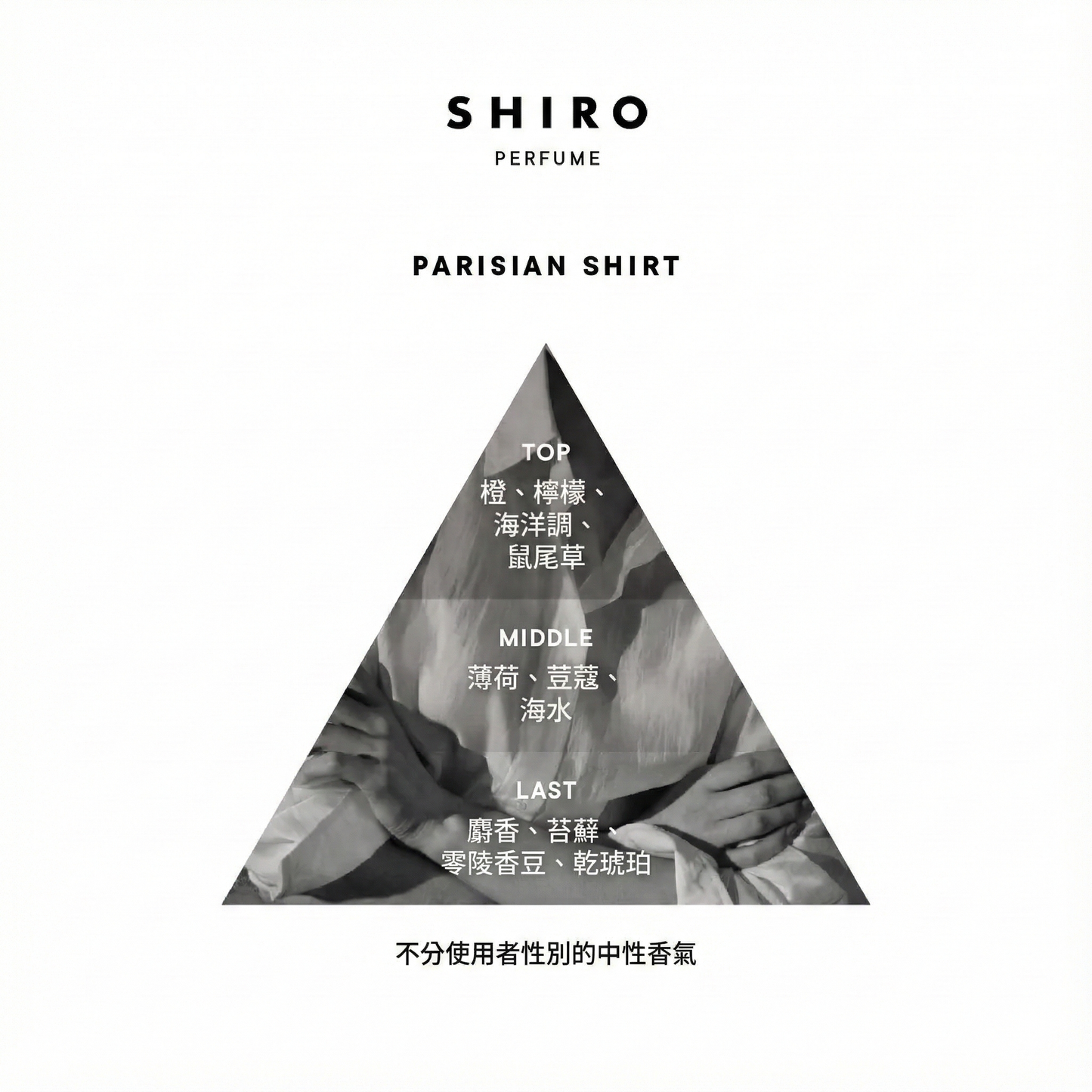 SHIRO Hand Serum 保濕精華香氛護手霜 精華乳 護手液