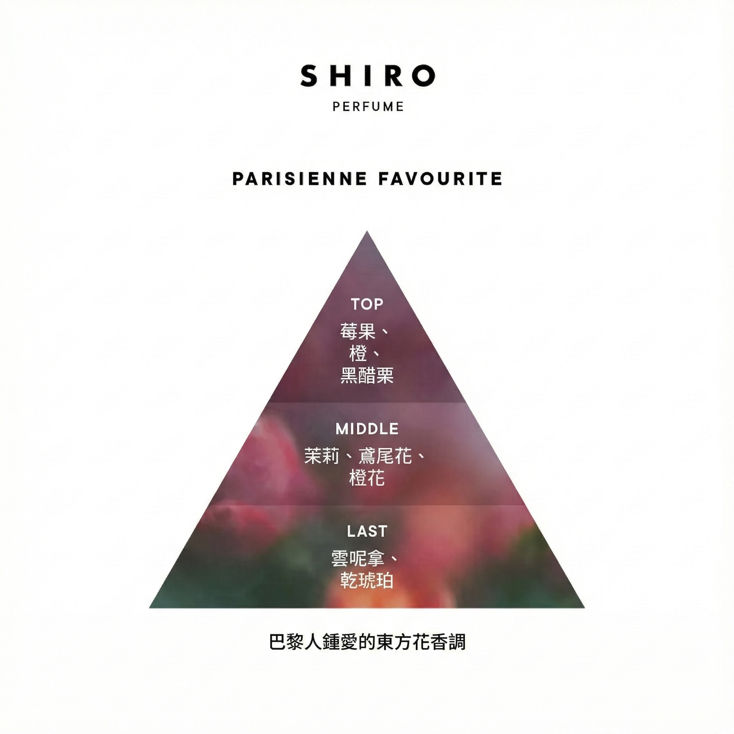 SHIRO Hand Serum 保濕精華香氛護手霜 精華乳 護手液