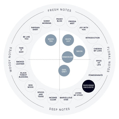 SHIRO Hand Serum 保濕精華香氛護手霜 精華乳 護手液