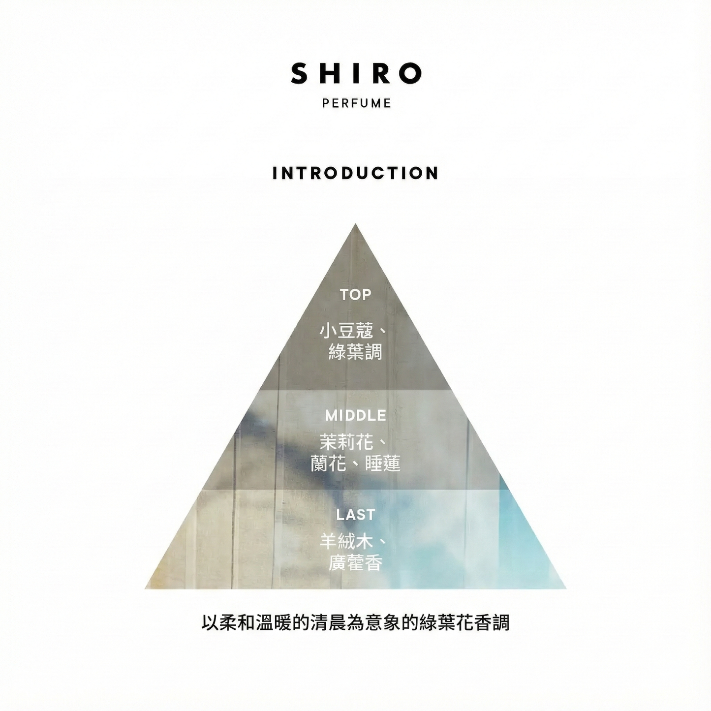 SHIRO Hand Serum 保濕精華香氛護手霜 精華乳 護手液