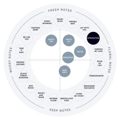 SHIRO Hand Serum 保濕精華香氛護手霜 精華乳 護手液