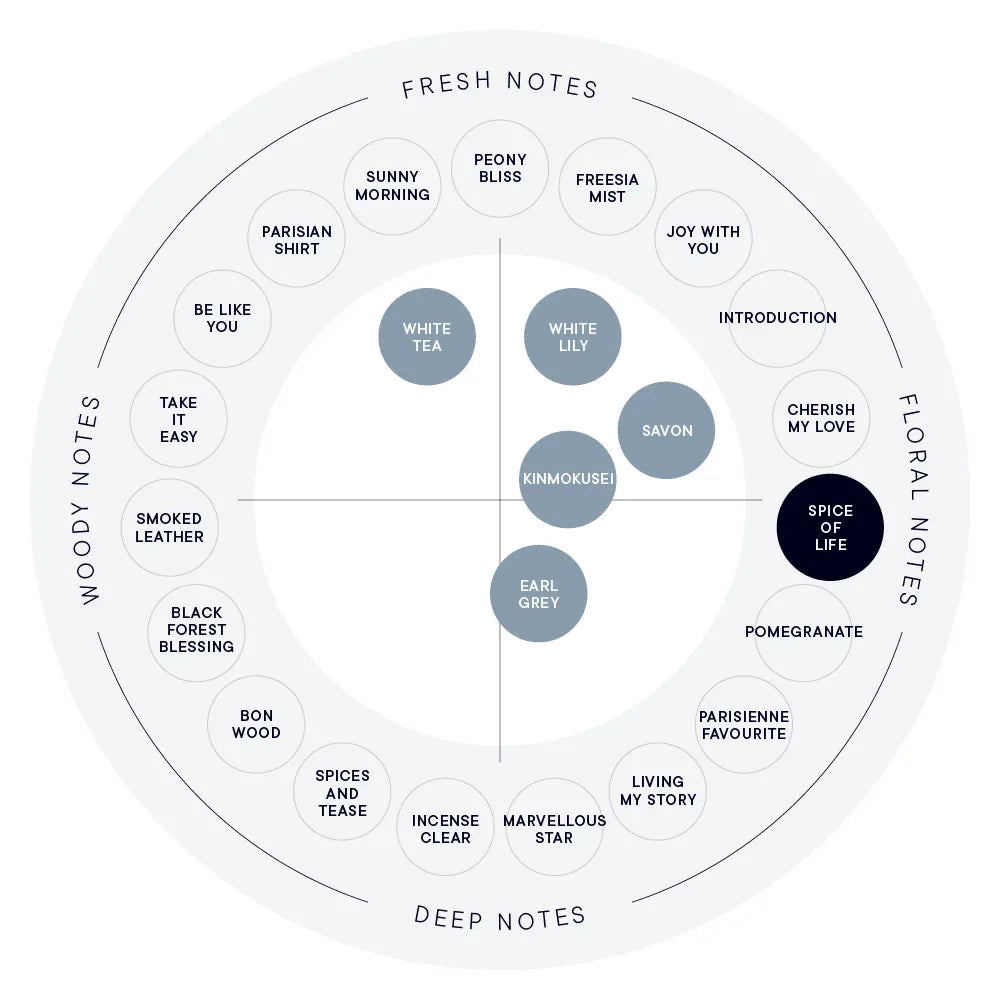 SHIRO Hand Serum 保濕精華香氛護手霜 精華乳 護手液