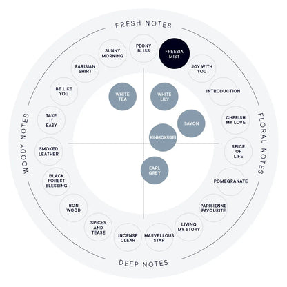 SHIRO Hand Serum 保濕精華香氛護手霜 精華乳 護手液