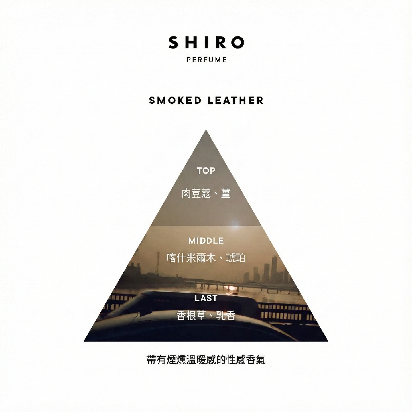 SHIRO Hand Serum 保濕精華香氛護手霜 精華乳 護手液