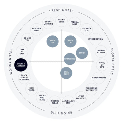 SHIRO Hand Serum 保濕精華香氛護手霜 精華乳 護手液