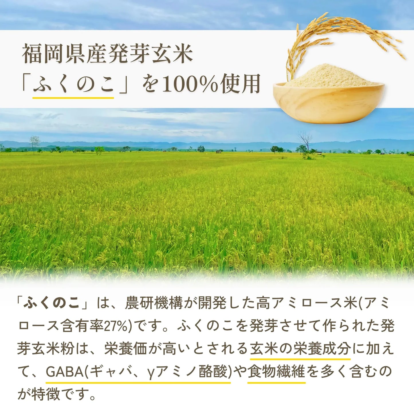 GoodTe Sakury 日本產 芝士發芽玄米脆片 腸胃友善健康零食 30g x 6包