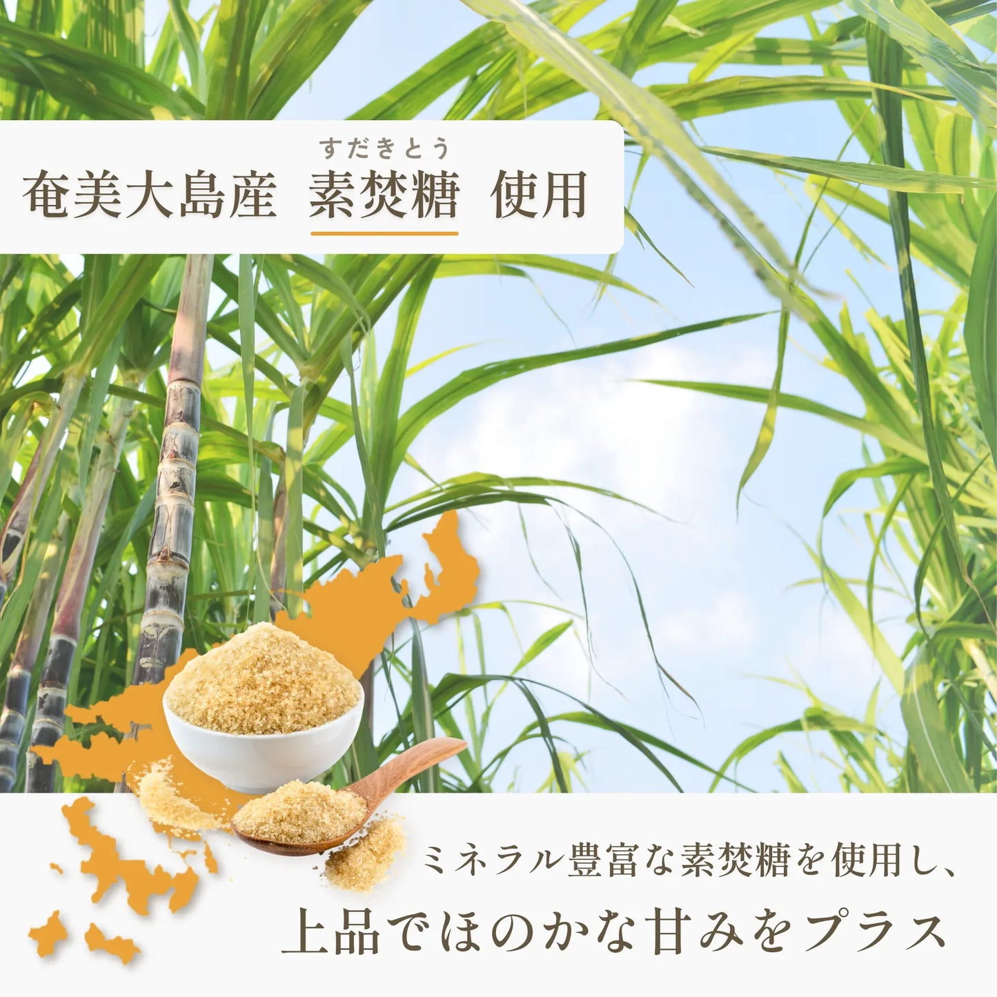 GoodTe Sakury 日本產 香柚海苔鹽發芽玄米脆片 腸胃友善健康零食 30g x 6包