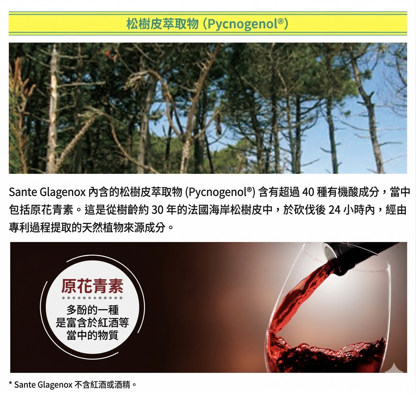 Santen 參天製藥 Sante Glagenox 護眼 碧容健與山桑子 青光眼及眼壓健康 營養保健 30粒 x 3包 3個月份量