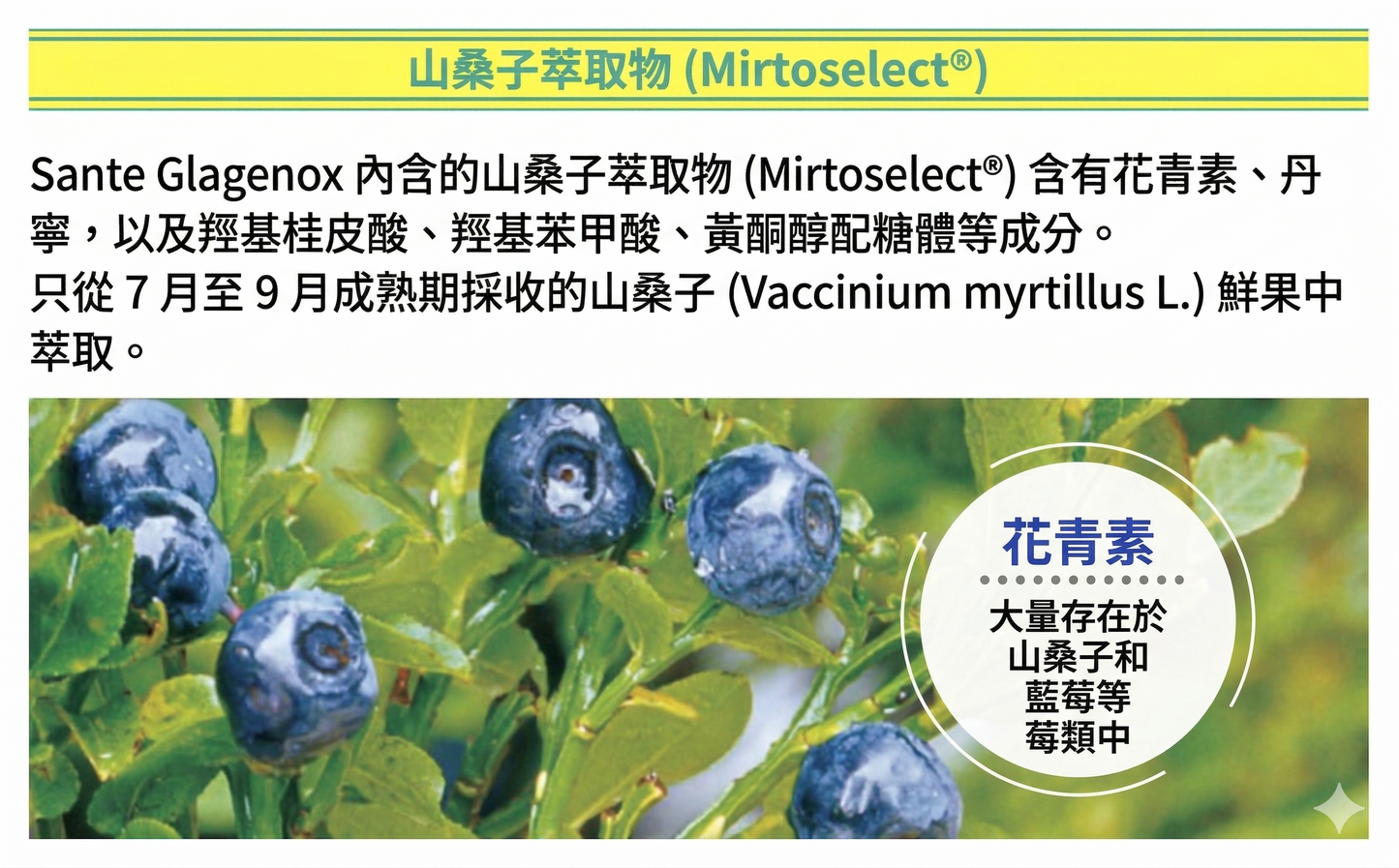 Santen 參天製藥 Sante Glagenox 護眼 碧容健與山桑子 青光眼及眼壓健康 營養保健 30粒 x 3包 3個月份量