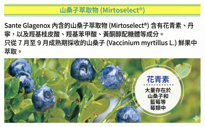 Santen 參天製藥 Sante Glagenox 護眼 碧容健與山桑子 青光眼及眼壓健康 營養保健 30粒 x 3包 3個月份量