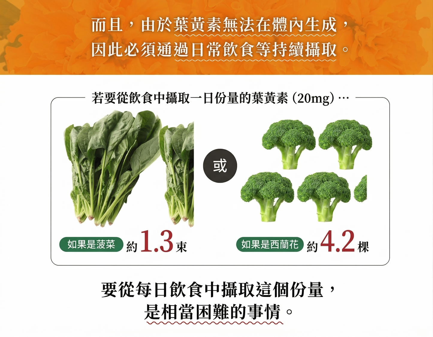 Santen 參天製藥 Sante Lutax 20+DHA 樂得視黃斑素 葉黃素+魚油DHA 護眼補充劑 60粒 x 3包 3個月份量