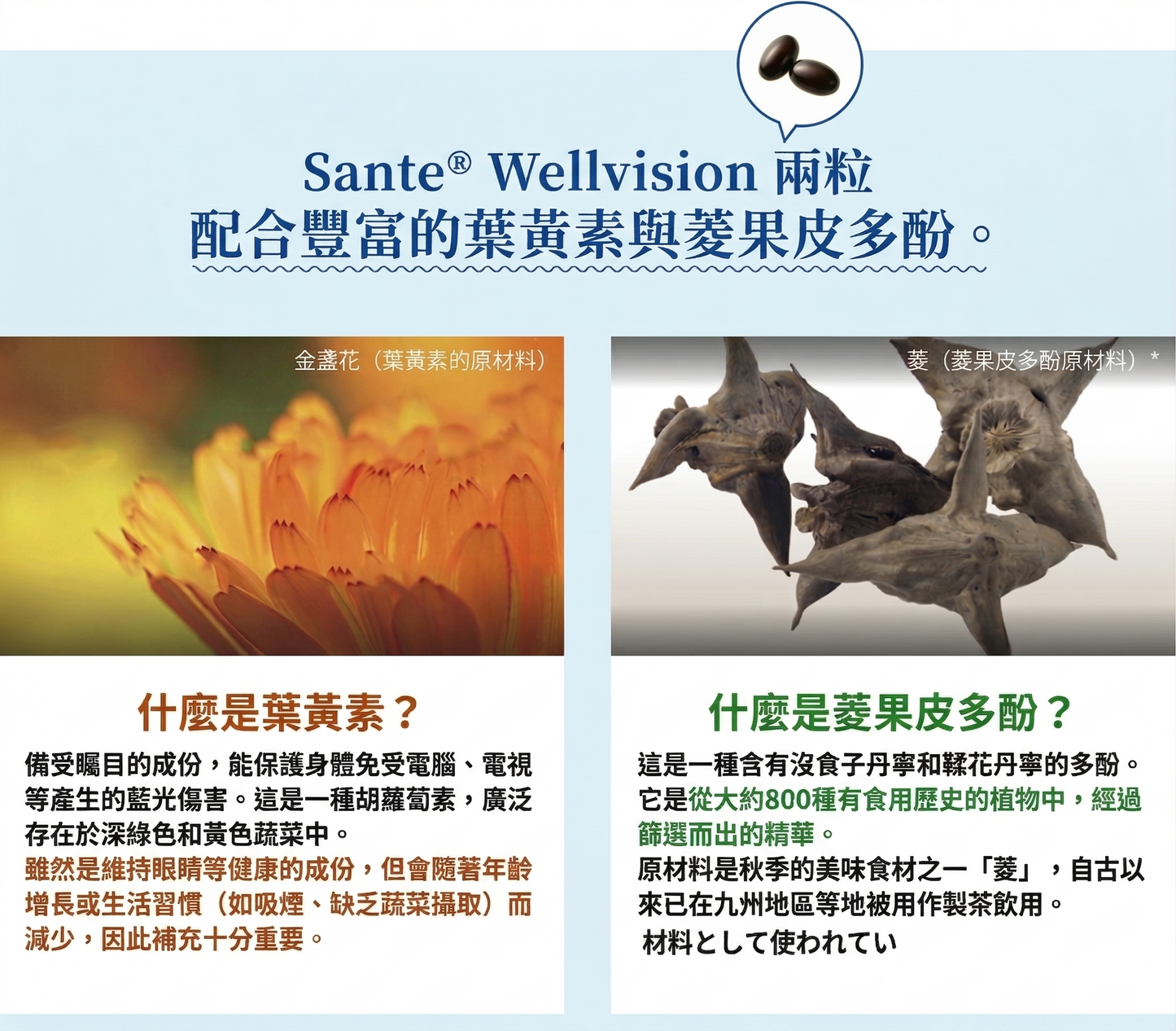 Santen參天製藥 日本製 Sante Wellvision 護眼補充保健 抗老化防藍光 3包優惠裝 3個月份量