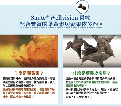 Santen參天製藥 日本製 Sante Wellvision 護眼補充保健 抗老化防藍光 3包優惠裝 3個月份量