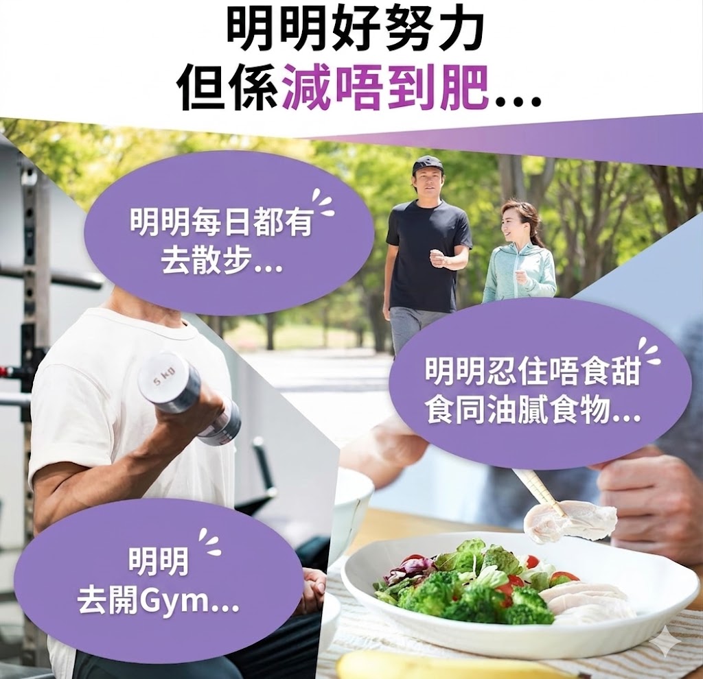 Regain 日本製 SlimManage BMI與腹部脂肪管理機能性補充食品 90粒×3袋優惠裝