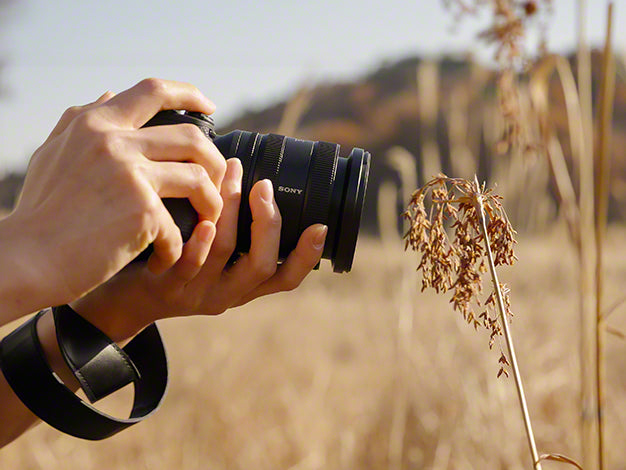 SONY FE 16-25mm F2.8 G for E-mount SEL1625G 全片幅 超廣角 變焦鏡頭
