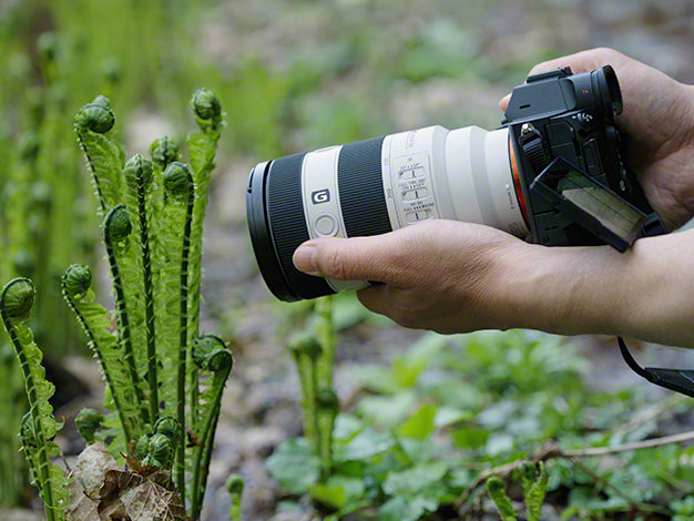 SONY FE 70-200mm F4 Macro G OSS II for E-mount SEL70200G2 全片幅 微距 望遠變焦鏡頭